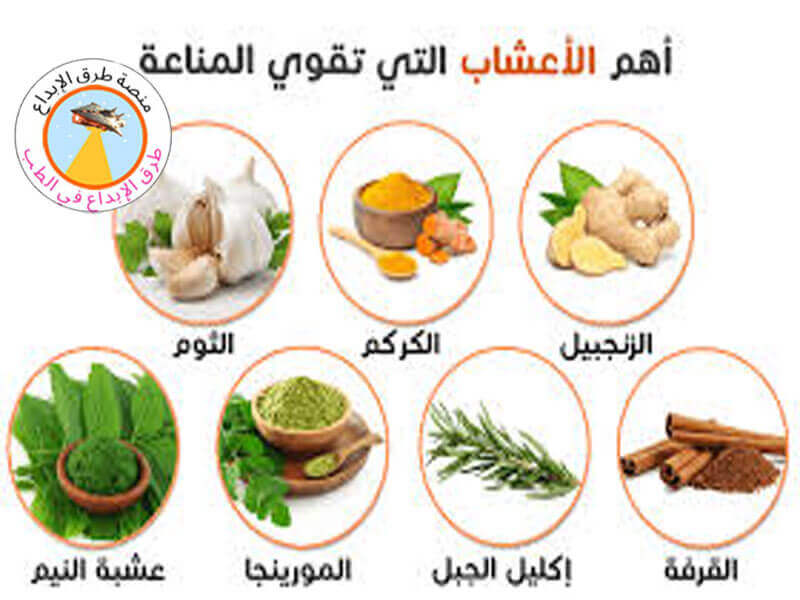 الأطعمة التي تقوي المناعة