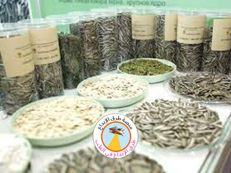 المكسرات والبذور 2.