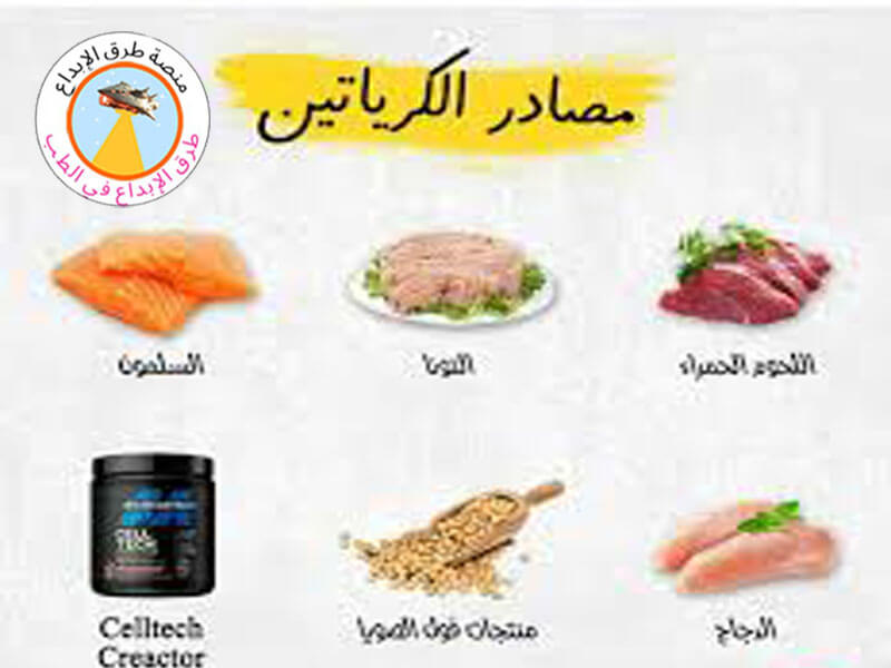  مكملات الكرياتين لبناء العضلات 2