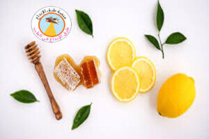 الأطعمة الدهنية والمفيدة لصحة البشرة 2