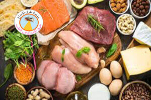 البروتين الحيواني أم البروتين 2